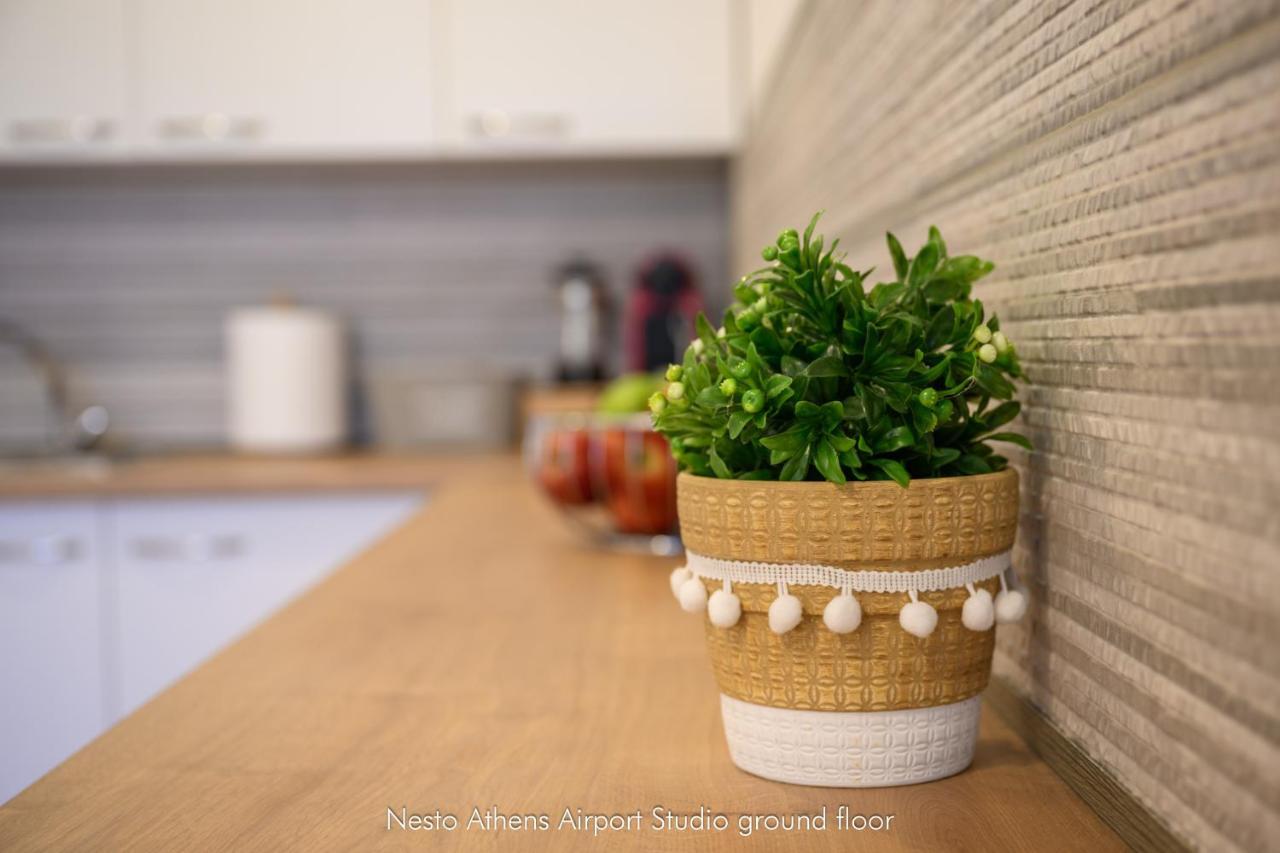 Apartment Nesto Athens Airport Zen